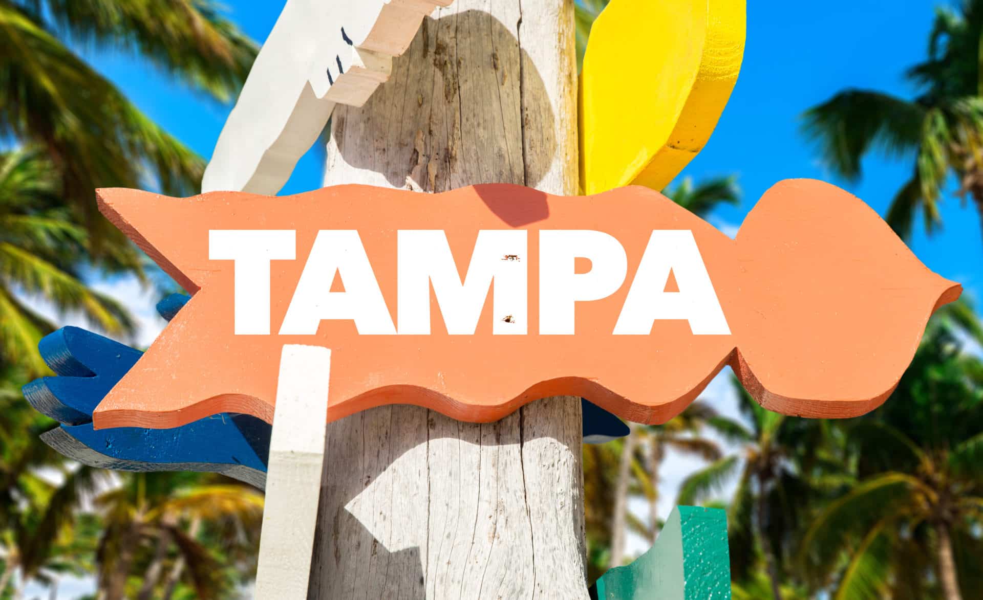 move to tampa
