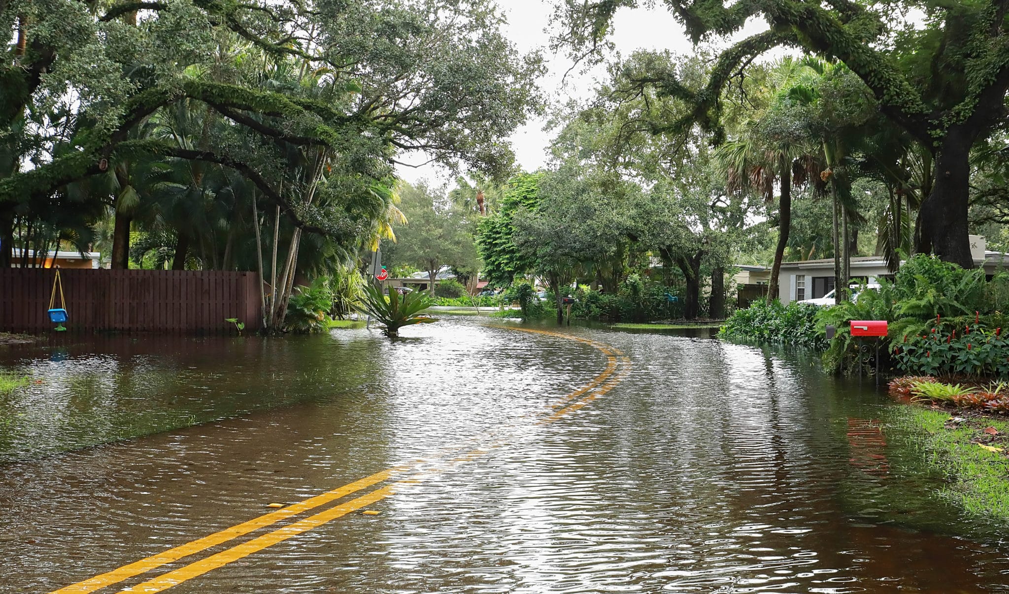 Is My House in a Flood Zone? Fine Sells