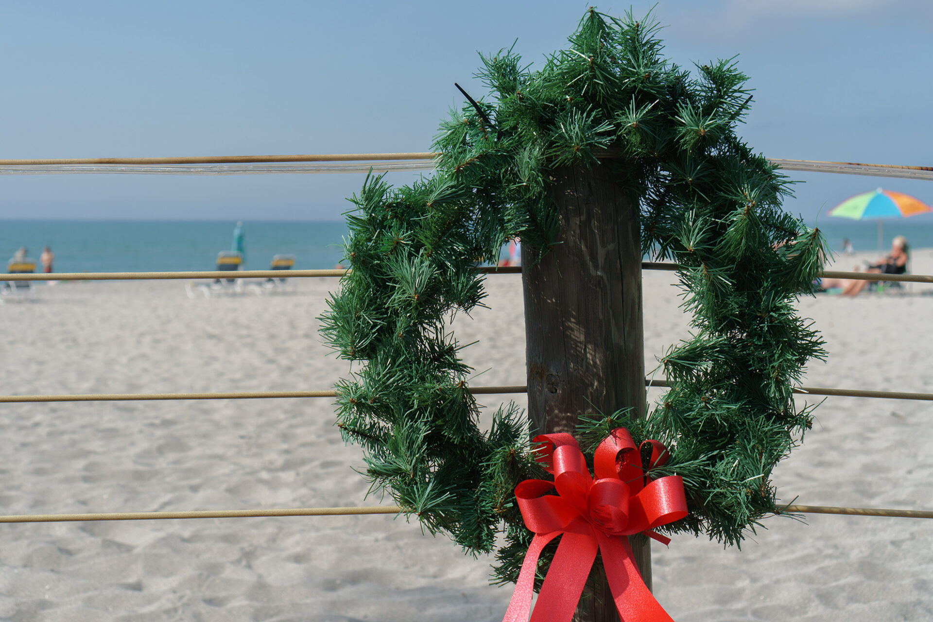 holiday activities tampa