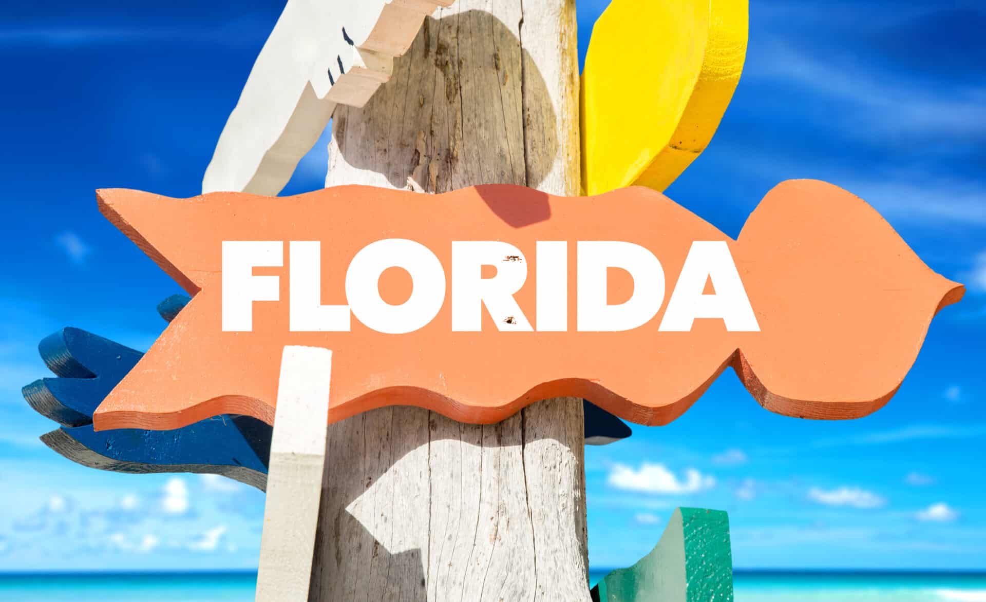 why is everyone moving to florida; who’s moving to florida; drivers license news; florida drivers license news