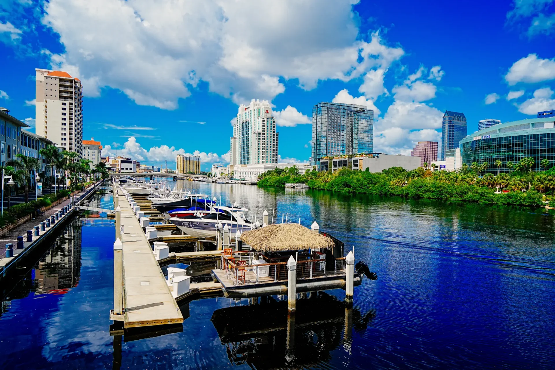 tampa real estate tampa skyline over tampa bay