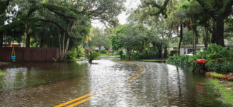 How to Check Whether Your Home Is in a Flood Zone (+ Hurricane Tips)