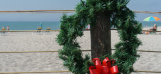 Holiday Activities Tampa: The Ultimate 2025 Edition to Holiday Cheer